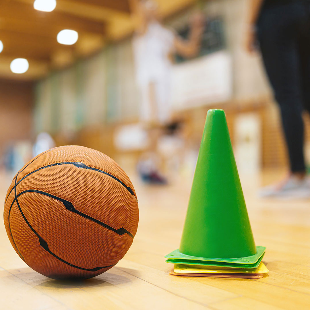 bisc BASKETBALL PROMO